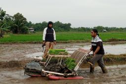 Brigade Pangan di Belitung bantu optimalkan lahan sawah