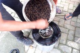 Pertamina Patra Niaga RJBB dukung pemanfaatan limbah daun Sirih