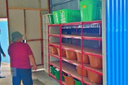 Pemkab Buol tambah satu dapur MBG di Biau