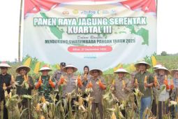 Polres Blitar panen jagung di lahan seluas 2,9 hektare