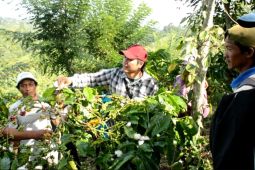 Dishut Lampung minta masyarakat kawasan hutan jadi subjek pelestarian