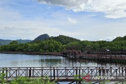 Pemprov Papua kembangkan ekowisata menjadi sumber ekonomi hijau