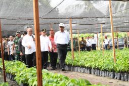 Kementan perkuat izin pengeluaran dan pemasukan benih tanaman