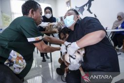 Vaksinasi rabies gratis di Tangerang
