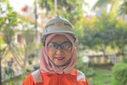 Guru besar UI sarankan evaluasi sistem keselamatan di tambang Freeport