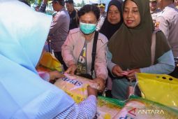 Harga beras medium turun jadi Rp13.565 per kilogram