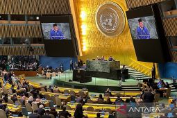 PBB upayakan kesepakatan damai Palestina-Israe untungkan kedua pihakl