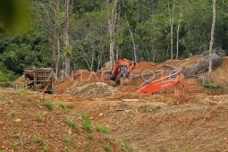 WALHI desak bongkar dugaan setoran Rp360 miliar dari tambang emas ilegal Aceh