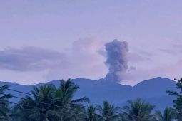 Gunung Dukono kembali lontarkan abu vulkanik hingga 700 meter