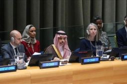 Arab Saudi peringatkan dampak genosida Israel pada stabilitas kawasan