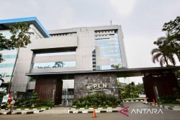 Pemerintah jaga tarif listrik tetap terjangkau sepanjang 2025