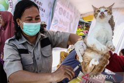 Peringatan Hari Rabies Sedunia 2025 di Palangka Raya