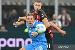 Napoli kalah telak lawan PSV, Newcastle bungkam Benfica di Liga Champions