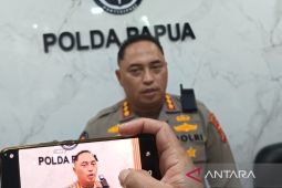 Polda Papua siagakan 317 personel operasi "Sikat Cartenz II"
