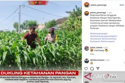 Ponorogo terapkan program Satu Desa Dua Hektare untuk Ketahanan Pangan