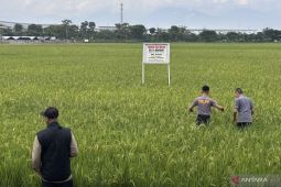 BKAD Bongkar Plang Liar di Sekitar GBLA, Tanah Pemkot Bandung Kembali Aman