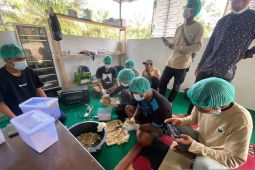 Universitas Jambi beri pendampingan perkuat ekonomi, sosial dan pendidikan SAD