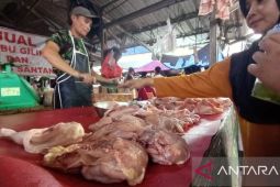 Pemprov Babel pastikan persediaan daging ayam ras cukup