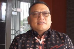 PLN targetkan 2027 seluruh desa di Kalteng berlistrik 100 persen