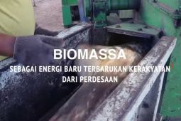 Biomassa sebagai Energi Baru Terbarukan Kerakyatan dari Perdesaan