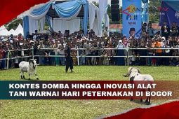 Kontes domba hingga inovasi alat tani warnai Hari Peternakan di Bogor