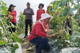 Program MBG dongkrak semangat dan pendapatan petani di Serdang Bedagai
