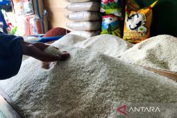 Bapanas: Harga beras medium turun jadi Rp13.747/kg per 1 Oktober