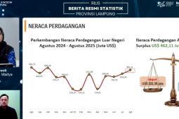 BPS: Neraca perdagangan luar negeri Lampung surplus 462 juta dolar AS