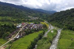 Hutan adat terjaga, ekonomi masyarakat tumbuh