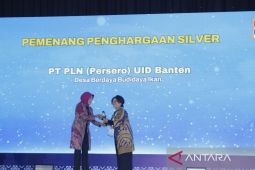 PLN raih penghargaan di ajang CSR dan Pengembangan Desa Berkelanjutan Awards 2025