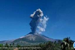Gunung Lewotobi Laki-laki kembali erupsi sebanyak dua kali pada Rabu siang
