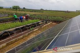Petani Kalijaran dapat harapan baru lewat energi surya dan inovasi
