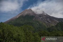 Gunung Merapi luncurkan awan panas guguran sejauh 2,5 km