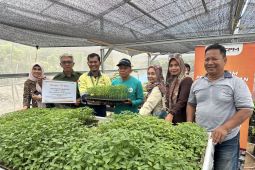 CPM dorong petani lingkar tambang kembangkan cabai melalui program CSR