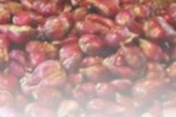 Bawang merah peredam utama inflasi Siantar