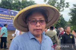 Distanhorti Jabar membantu petani agar mangga gedong gincu tembus ekspor