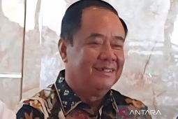 Pemprov Sumsel manfaatkan penyuluh kesehatan gencarkan edukasi cegah stunting