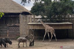 YMT komitmen benahi Bandung Zoo agar jadi lembaga konservasi internasional