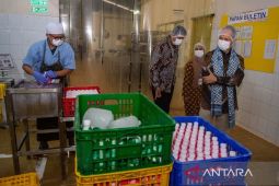 OJK perkuat digitalisasi bisnis peternakan