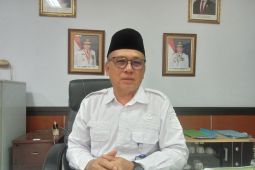 Pemprov Jambi  genjot produksi beras kelola 9 ribu hektare lahan tidur