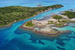 PERMATA Indonesia serukan kepastian hukum pertambangan Pulau Kecil