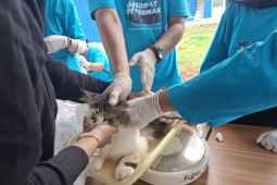 Disnakkeswan Lampung: Keberadaan Rumah Sakit Hewan dapat dukung layanan modern