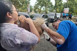 Pemprov Lampung: UPTD BPK2LP ajukan akreditasi untuk tingkatkan pelayanan