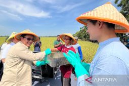 Kebijakan harga gabah Rp6.500/kg dorong kesejahteraan petani