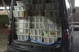 Polda Lampung-BKSDA gagalkan penyelundupan 4.095 ekor burung dari Palembang