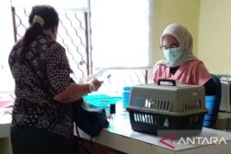 Babel intensifkan klinik hewan cegah penyakit zoonosis