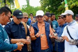 Pemdes Sepempang Natuna  lepasliarkan 150 ekor tukik di pulau terluar