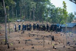Warga Badui serentak tanam padi gogo di lahan darat