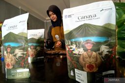 Adu saing kopi hasil pengeringan geotermal Kamojang di pasar ekspor