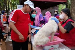 Maros gelar vaksinasi gratis untuk tekan rabies